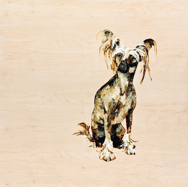 Chinese Crested - 48x48